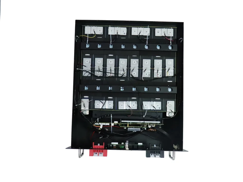 51.2V 100Ah rack-cabinet battery, open enclosure showing internals and BMS wiring
